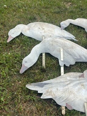 Gray/white Goose Decoys - Set of 4 Realistic Hunting Decoys